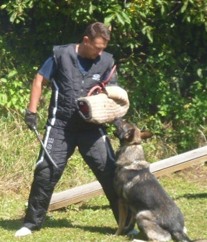 EROL Z HERANOVY VILY