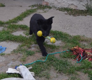 dsc_0881.jpg